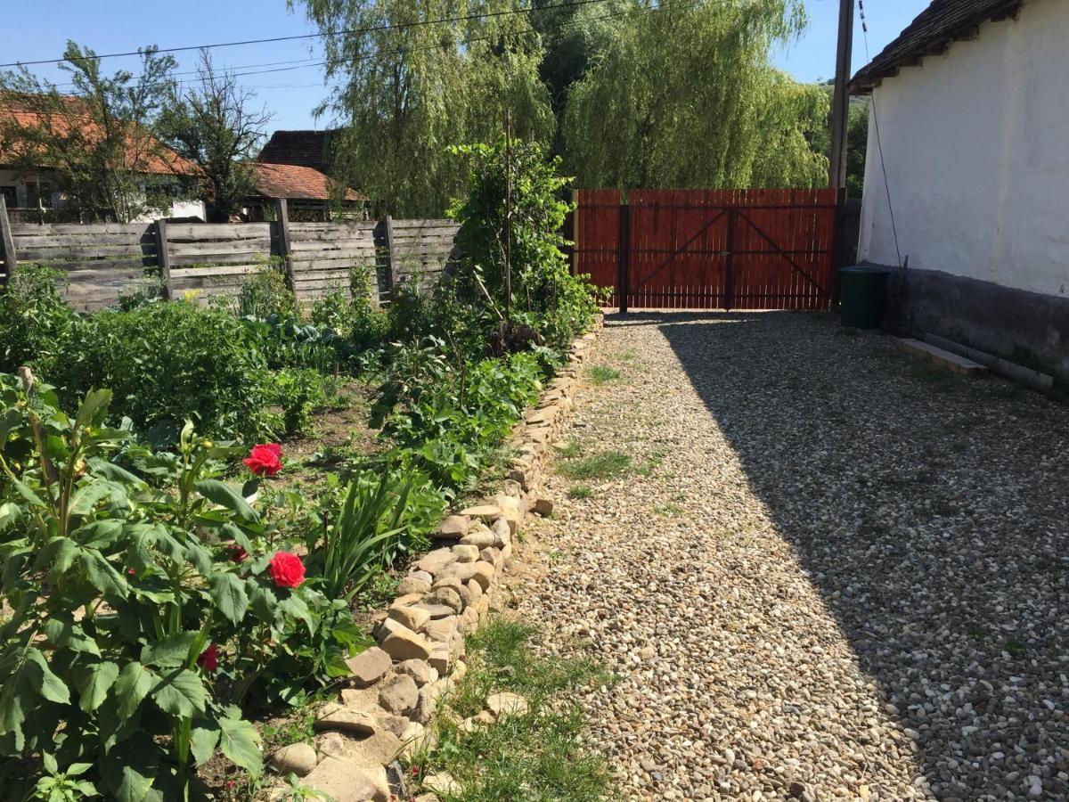 Pensiune Agroturistica Hanna Ocland Экстерьер фото