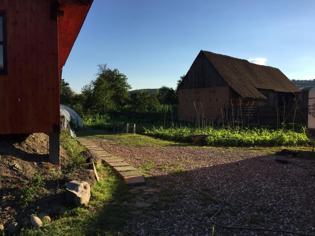 Pensiune Agroturistica Hanna Ocland Экстерьер фото