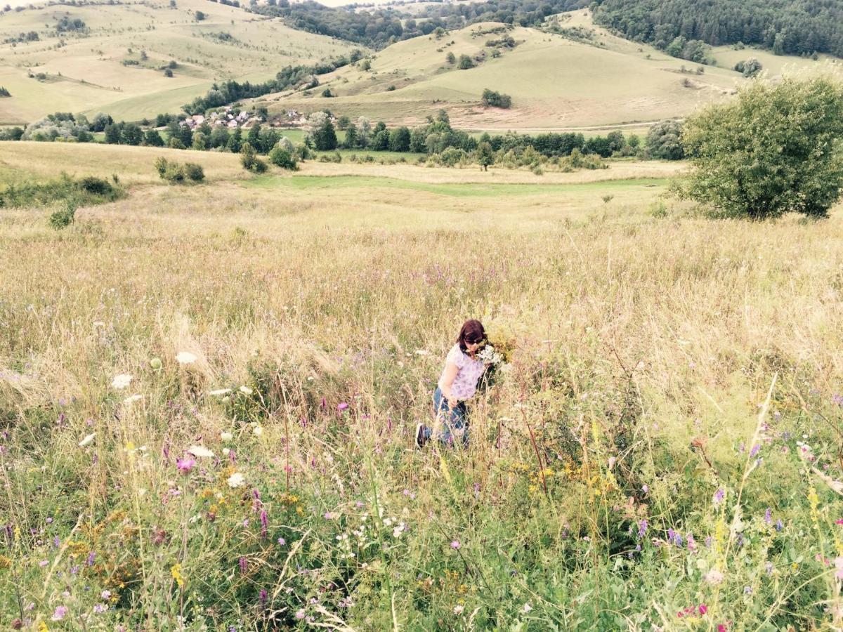 Pensiune Agroturistica Hanna Ocland Экстерьер фото