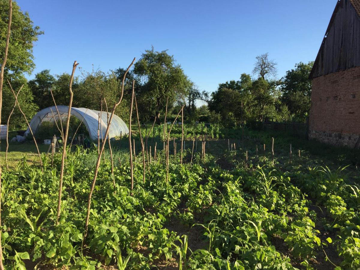 Pensiune Agroturistica Hanna Ocland Экстерьер фото